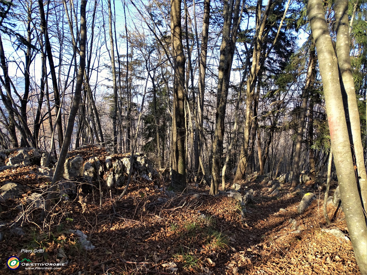 71 Da questo sentiero non segnato ma intuitivo scendo per bosco a Miragolo San Salvatore.JPG